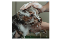 durovinbathrooms.com