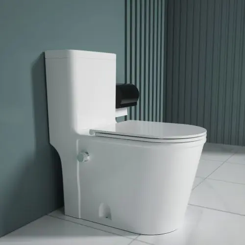 One-Piece Bidet Toilet with Thermostatic Mixing Valve and soft close seat