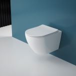 wall hung rimless toilet