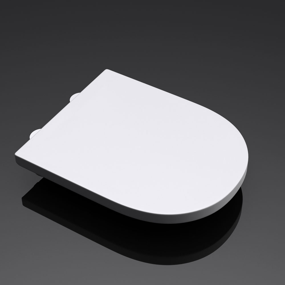 toilet seat