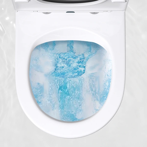 water-saving toilet with two flush volumes