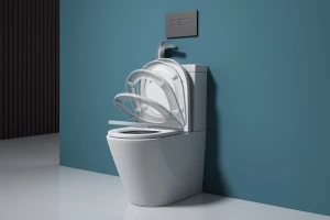 toilet seat