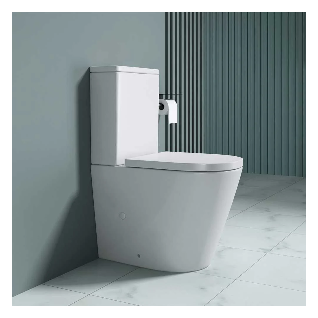 Ceramic Toilet
